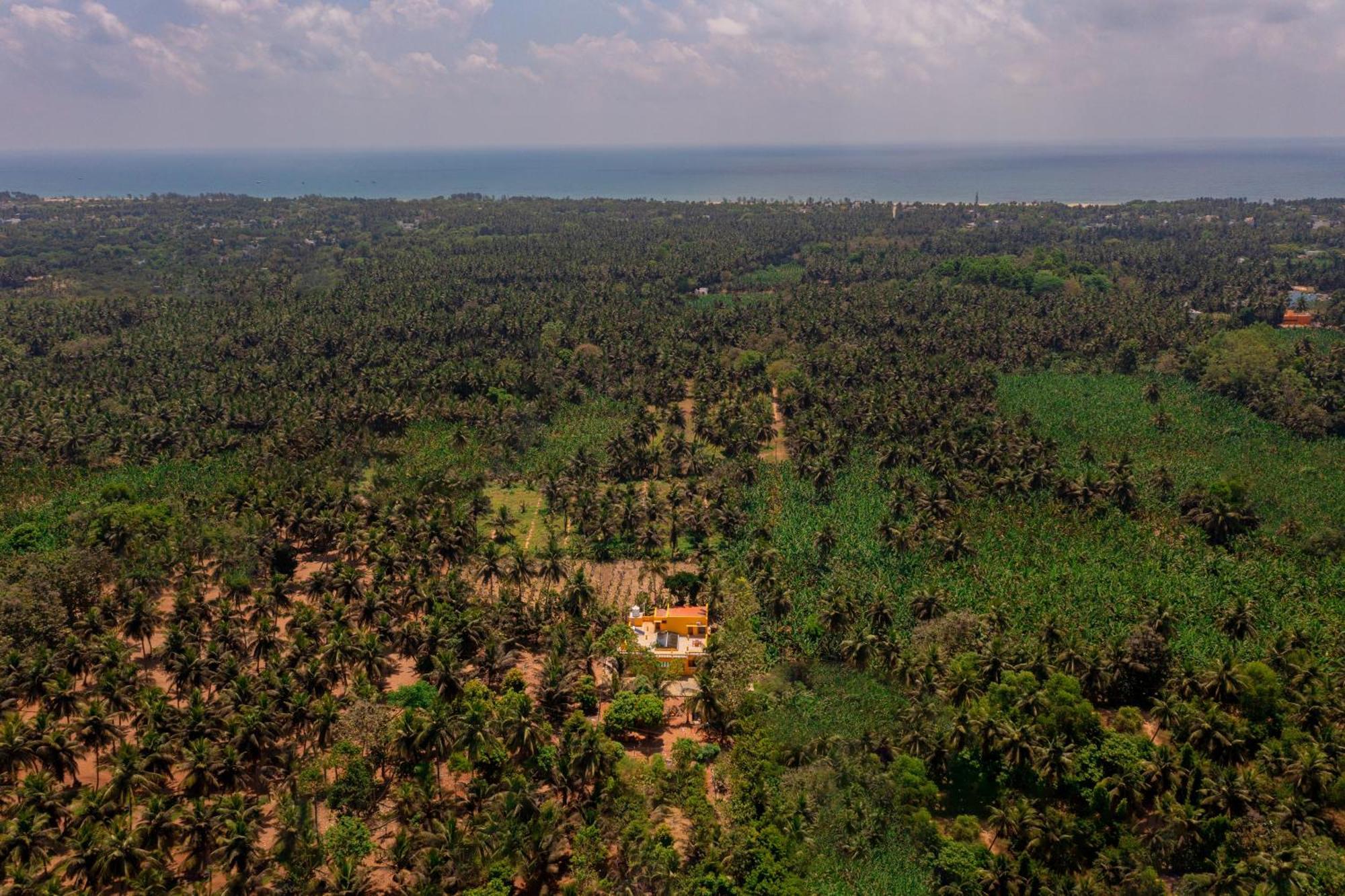 Teak Leaf Gateway Villa With Swimming Pool Indoor Games Kalapettai Экстерьер фото